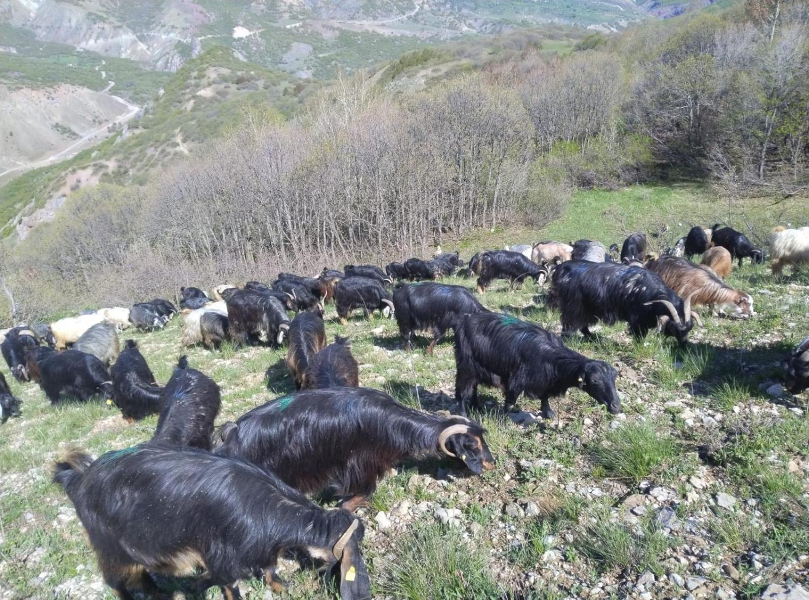 Tunceli Askireg Hotel מראה חיצוני תמונה
