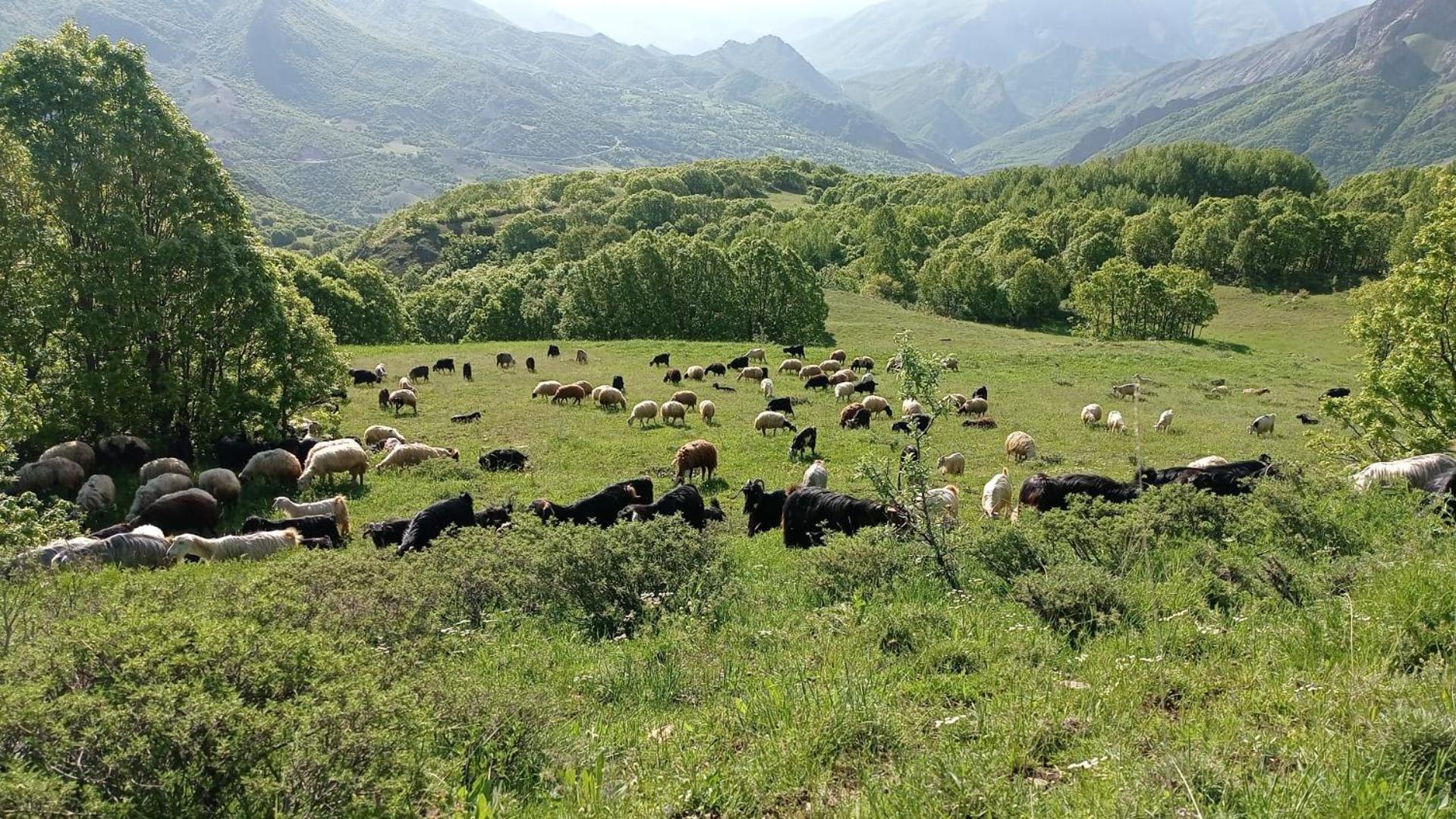 Tunceli Askireg Hotel מראה חיצוני תמונה